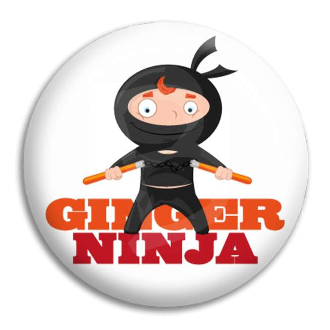 Ginger Ninja